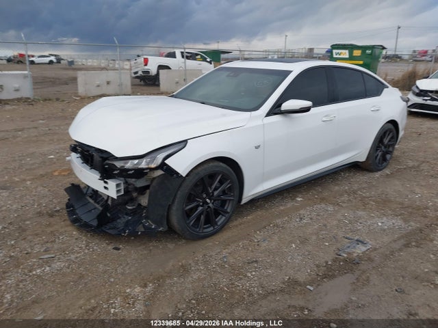 Продаж на аукціоні авто 2020 Cadillac Ct5 Sport, vin: 1G6DU5RK6L0124949, номер лоту: 12339685