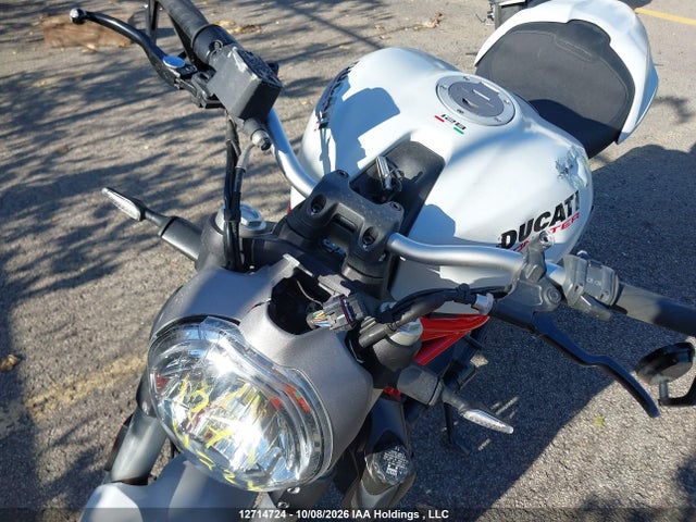 Ducati Monster 821 2015 ZDM1RBTS3FB006315 Image 19