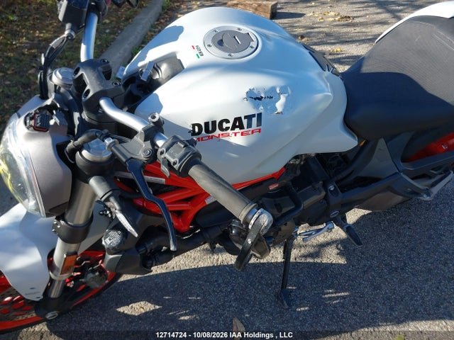 Ducati Monster 821 2015 ZDM1RBTS3FB006315 Image 20