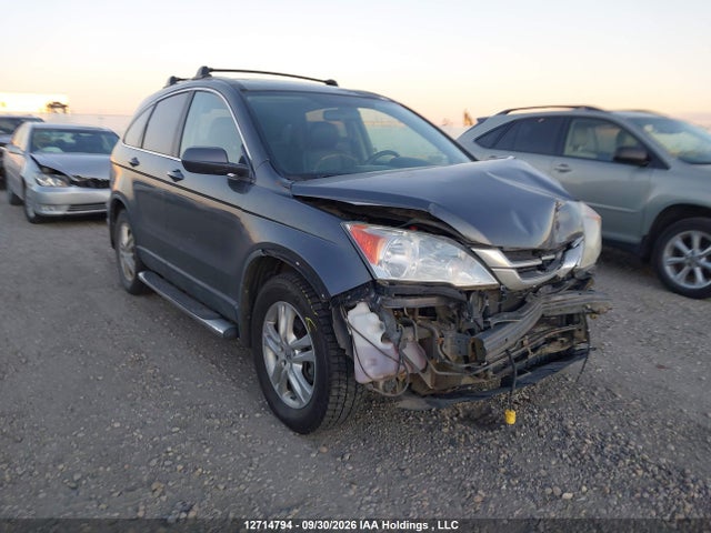 Auction sale of the 2011 Honda Cr-v Ex-l, vin: 5J6RE4H77BL810268, lot number: 12714794