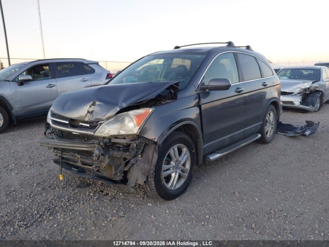 Aukcja sprzedaży 2011 Honda Cr-v Ex-l, vin: 5J6RE4H77BL810268, numer aukcji: 12714794