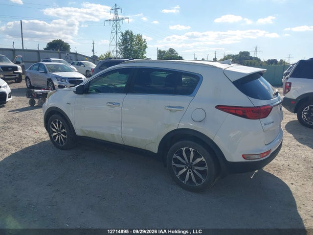 2017 Kia Sportage Ex/ex Premium/ex Tech მანქანა იყიდება აუქციონზე, vin: KNDPNCAC8H7057477, აუქციონის ნომერი: 12714895