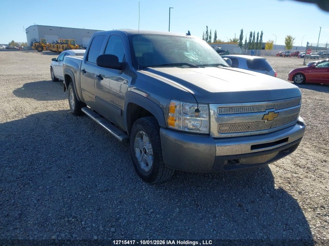 12715417 :رقم المزاد ، 3GCEK13309G250830 vin ، 2009 Chevrolet Silverado K1500 مزاد بيع
