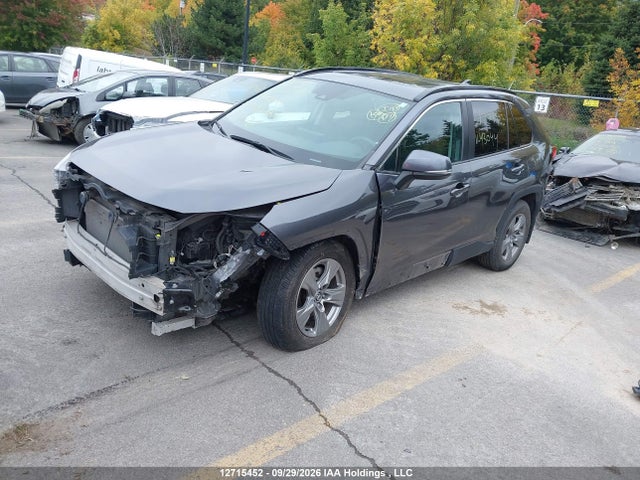 Toyota Rav4 Xle 2024 2T3R1RFV8RC430445 Image 2