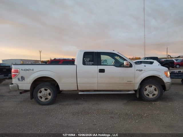 1FTFX1ETXEFC55547 Ford F-150 Xlt