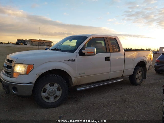 1FTFX1ETXEFC55547 Ford F-150 Xlt