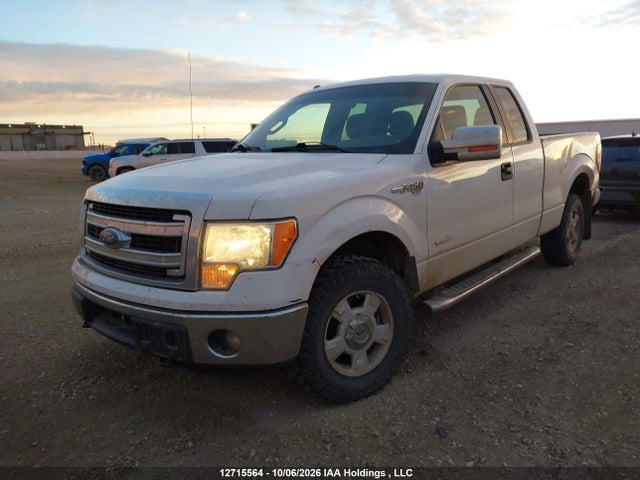 1FTFX1ETXEFC55547 Ford F-150 Xlt
