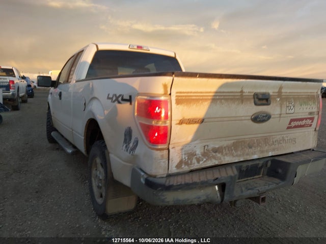 1FTFX1ETXEFC55547 Ford F-150 Xlt