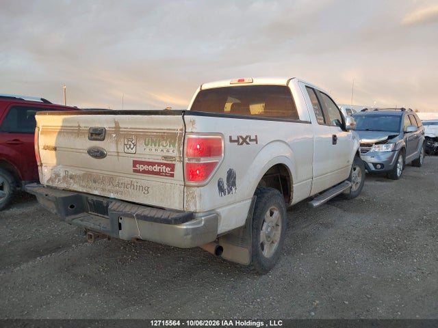 1FTFX1ETXEFC55547 Ford F-150 Xlt