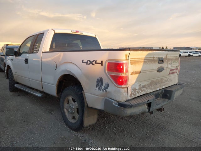 1FTFX1ETXEFC55547 Ford F-150 Xlt