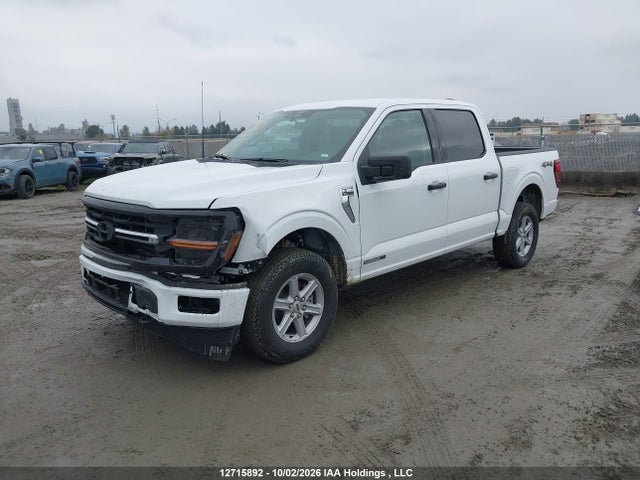 Aukcja sprzedaży 2026 Ford F150 Xlt, vin: 1FTFW3LD0TFB61328, numer aukcji: 12715892