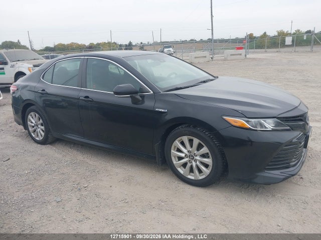 4T1B31HK3JU503376 Toyota CAMRY LE