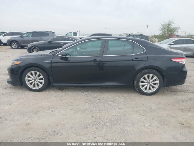 4T1B31HK3JU503376 Toyota CAMRY LE
