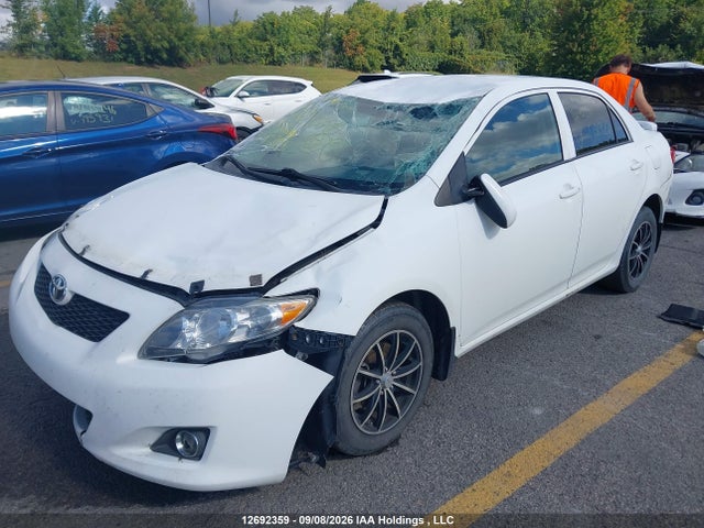 Продаж на аукціоні авто 2009 Toyota Corolla Ce, vin: 2T1BU40E59C089258, номер лоту: 12692359