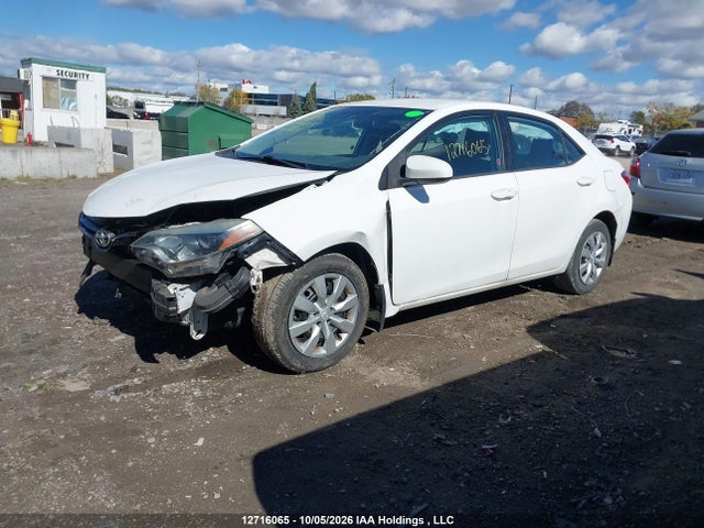 2T1BURHE0GC561834 Toyota COROLLA LE