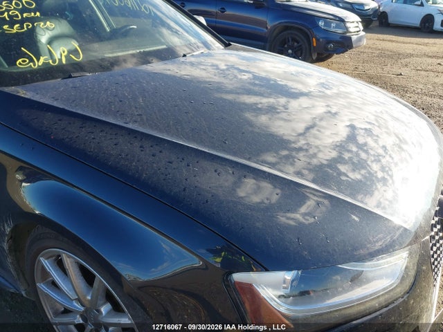 12716067 :رقم المزاد ، WAUFFCFL2GN016500 vin ، 2016 Audi A4 Progressiv Plus مزاد بيع