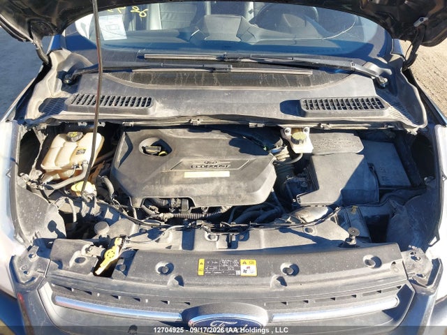 Продаж на аукціоні авто 2013 Ford Escape Se, vin: 1FMCU9GXXDUB73706, номер лоту: 12704925