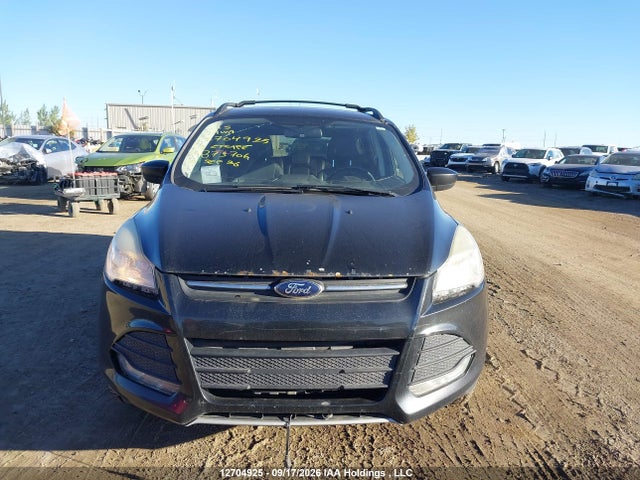 Продаж на аукціоні авто 2013 Ford Escape Se, vin: 1FMCU9GXXDUB73706, номер лоту: 12704925