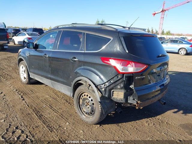 Продаж на аукціоні авто 2013 Ford Escape Se, vin: 1FMCU9GXXDUB73706, номер лоту: 12704925