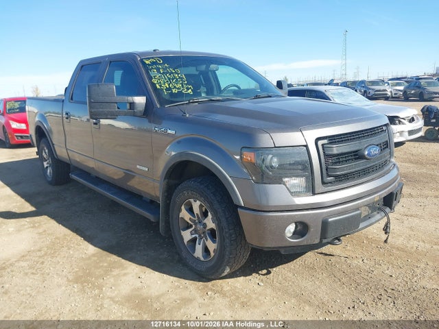 Продаж на аукціоні авто 2013 Ford F150 Supercrew, vin: 1FTFW1ET5DKF01655, номер лоту: 12716134