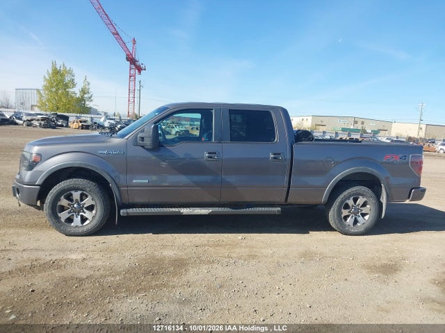 12716134 :رقم المزاد ، 1FTFW1ET5DKF01655 vin ، 2013 Ford F150 Supercrew مزاد بيع