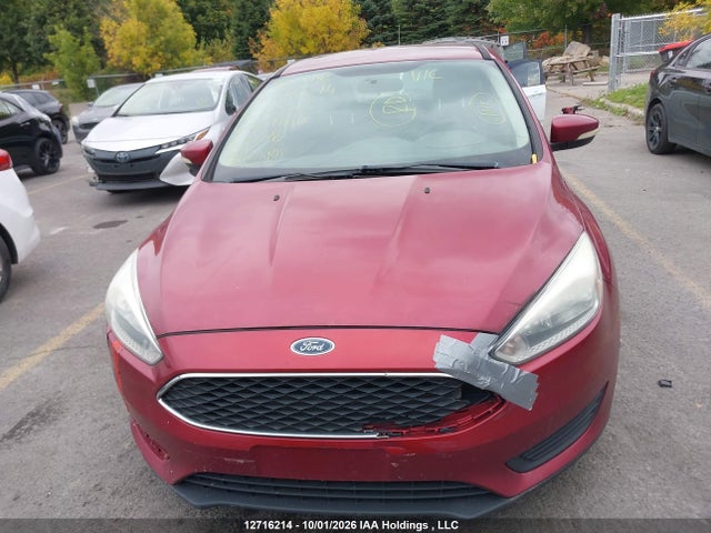 1FADP3K26FL251146 Ford Focus