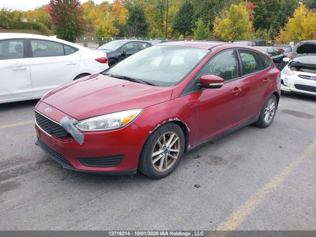 1FADP3K26FL251146 Ford Focus