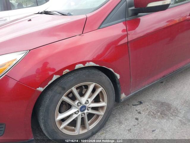 1FADP3K26FL251146 Ford Focus