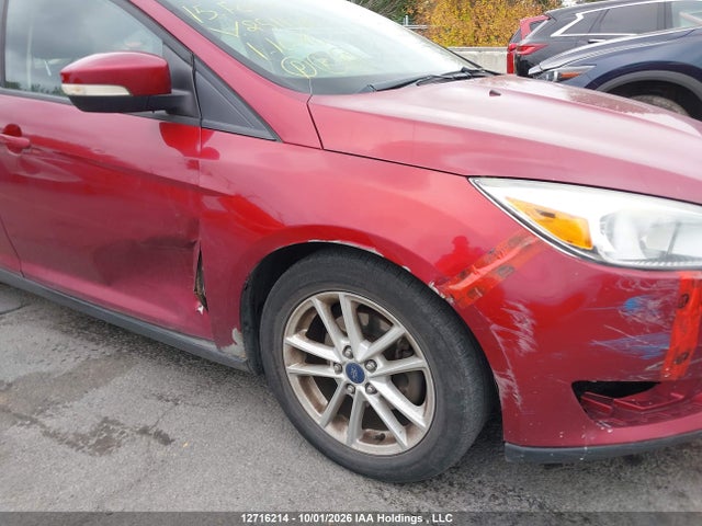 1FADP3K26FL251146 Ford Focus