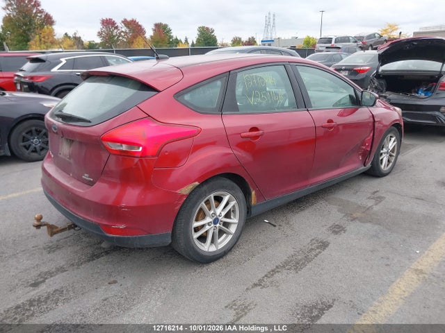 1FADP3K26FL251146 Ford Focus