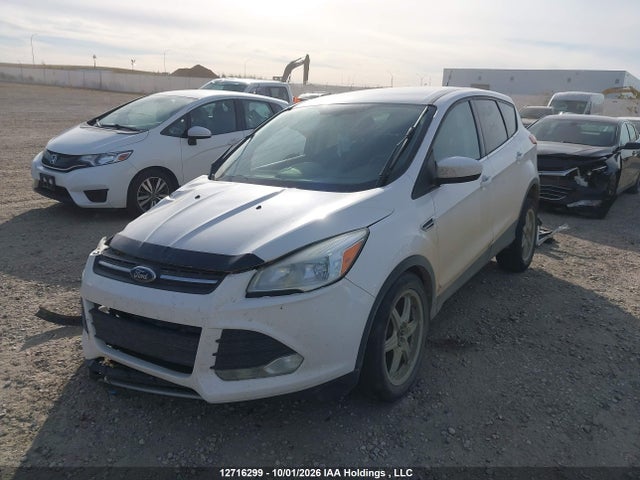 1FMCU9GX8FUC70552 Ford ESCAPE SE