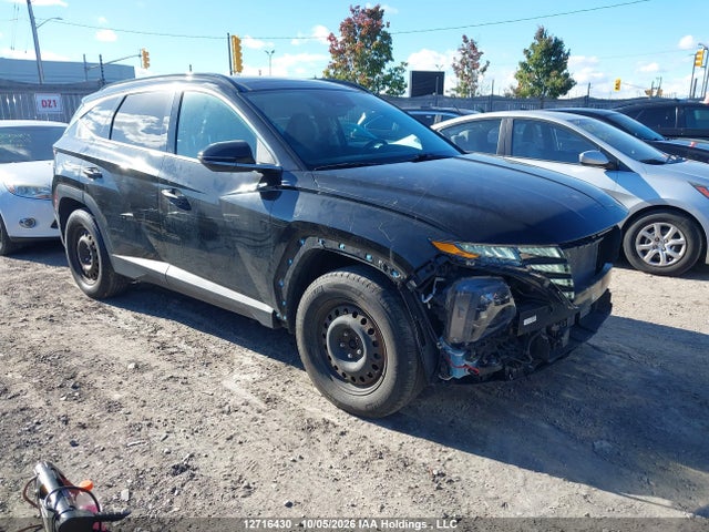 Продаж на аукціоні авто 2024 Hyundai Tucson Sel, vin: KM8JCCDEXRU318082, номер лоту: 12716430