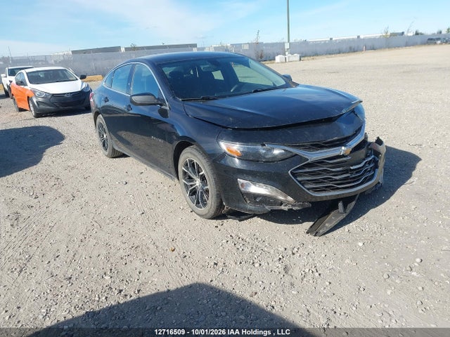 Aukcja sprzedaży 2019 Chevrolet Malibu Lt, vin: 1G1ZD5ST8KF196259, numer aukcji: 12716509