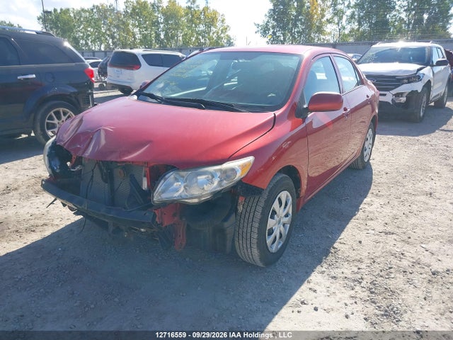 2010 Toyota Corolla Ce მანქანა იყიდება აუქციონზე, vin: 2T1BU4EE6AC263478, აუქციონის ნომერი: 12716559