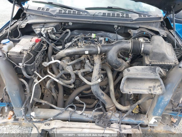 12716571 :رقم المزاد ، 1FTEX1EP4KFD04509 vin ، 2019 Ford F-150 Xlt مزاد بيع