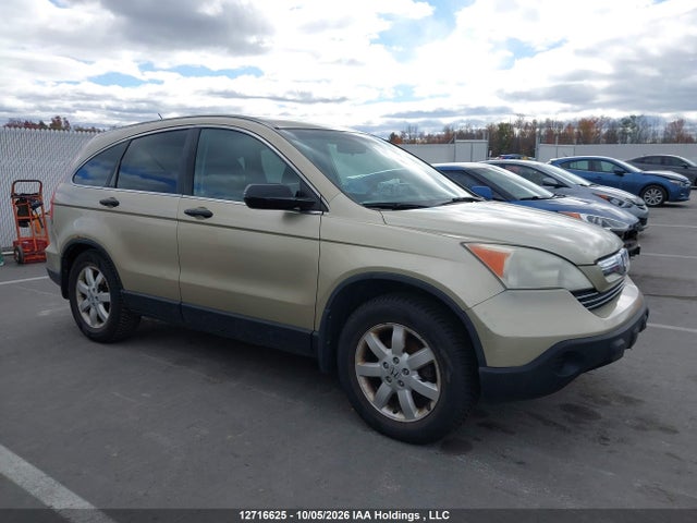 2007 Honda Cr-v Ex მანქანა იყიდება აუქციონზე, vin: 5J6RE48507L811591, აუქციონის ნომერი: 12716625