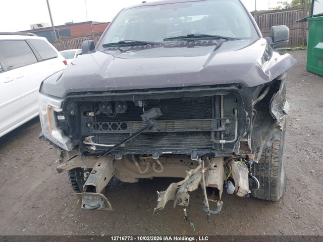 Ford F-150 Xlt 2018 1FTEW1EB1JFE18442 Image 12