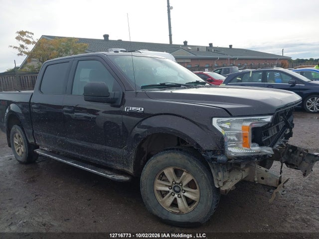 Ford F-150 Xlt 2018 1FTEW1EB1JFE18442 Image 13