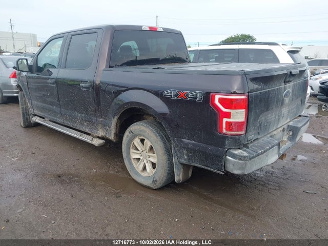 Ford F-150 Xlt 2018 1FTEW1EB1JFE18442 Image 3