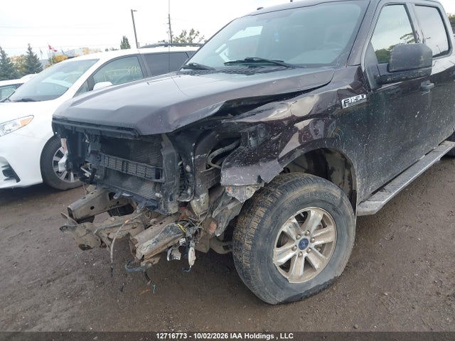 Ford F-150 Xlt 2018 1FTEW1EB1JFE18442 Image 6
