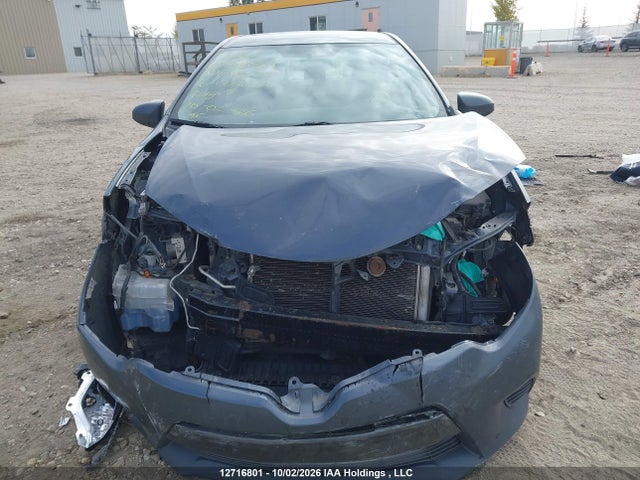 2T1BURHE6GC648055 Toyota Corolla L/le/le Pls/prm/s/s Pls