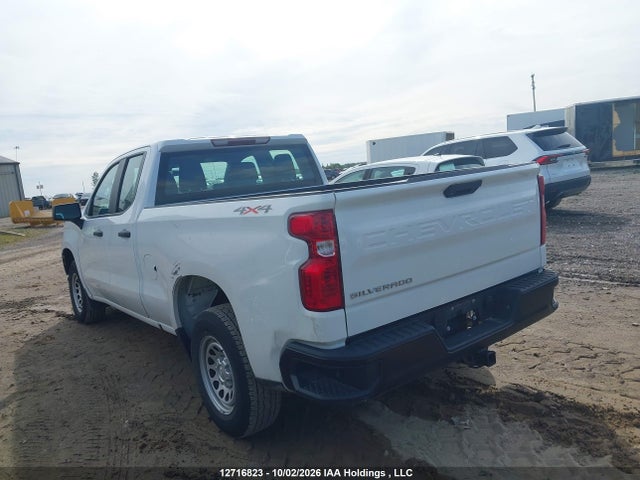 Продаж на аукціоні авто 2019 Chevrolet Silverado 1500 Work Truck, vin: 1GCRYAEH2KZ253775, номер лоту: 12716823
