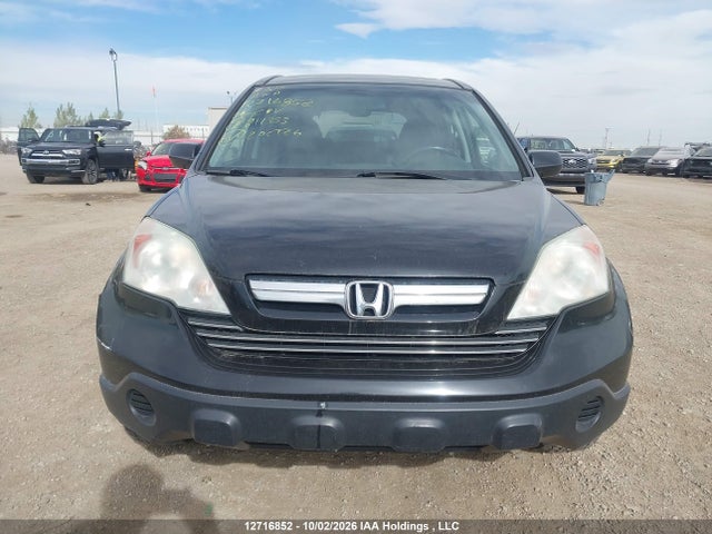 Продажа на аукционе авто 2009 Honda Cr-v Exl, vin: 5J6RE48709L811353, номер лота: 12716852