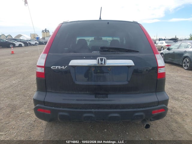 Продажа на аукционе авто 2009 Honda Cr-v Exl, vin: 5J6RE48709L811353, номер лота: 12716852