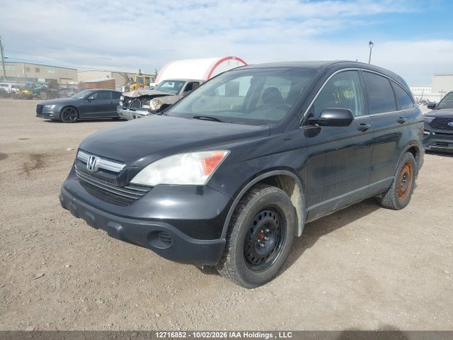Продажа на аукционе авто 2009 Honda Cr-v Exl, vin: 5J6RE48709L811353, номер лота: 12716852