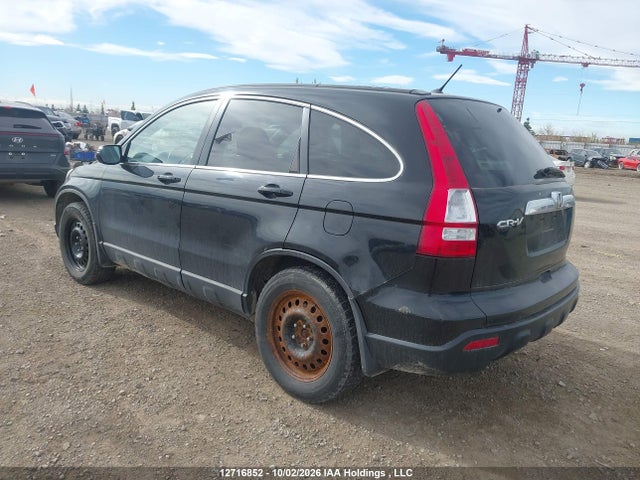 Продажа на аукционе авто 2009 Honda Cr-v Exl, vin: 5J6RE48709L811353, номер лота: 12716852