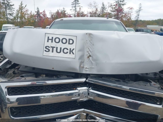 Продаж на аукціоні авто 2010 Chevrolet Silverado K1500 Ls, vin: 1GCSKREA5AZ167301, номер лоту: 12716906