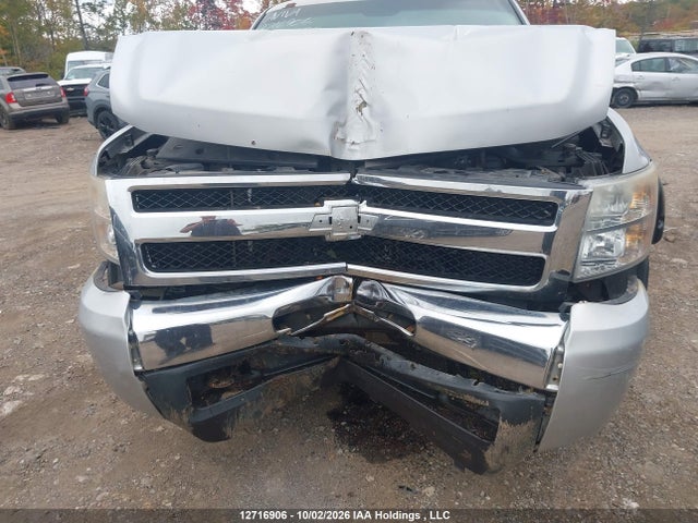 Продаж на аукціоні авто 2010 Chevrolet Silverado K1500 Ls, vin: 1GCSKREA5AZ167301, номер лоту: 12716906