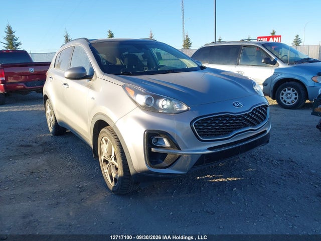 Auction sale of the 2020 Kia Sportage Ex, vin: KNDPNCAC7L7818203, lot number: 12717100