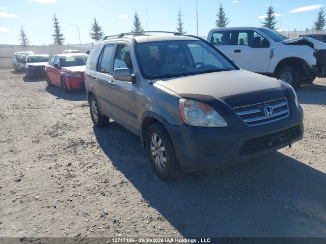 Auction sale of the 2005 Honda Cr-v Ex, vin: JHLRD78865C811194, lot number: 12717106
